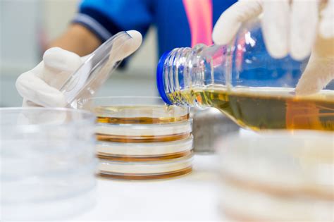 pouring agar plates in water